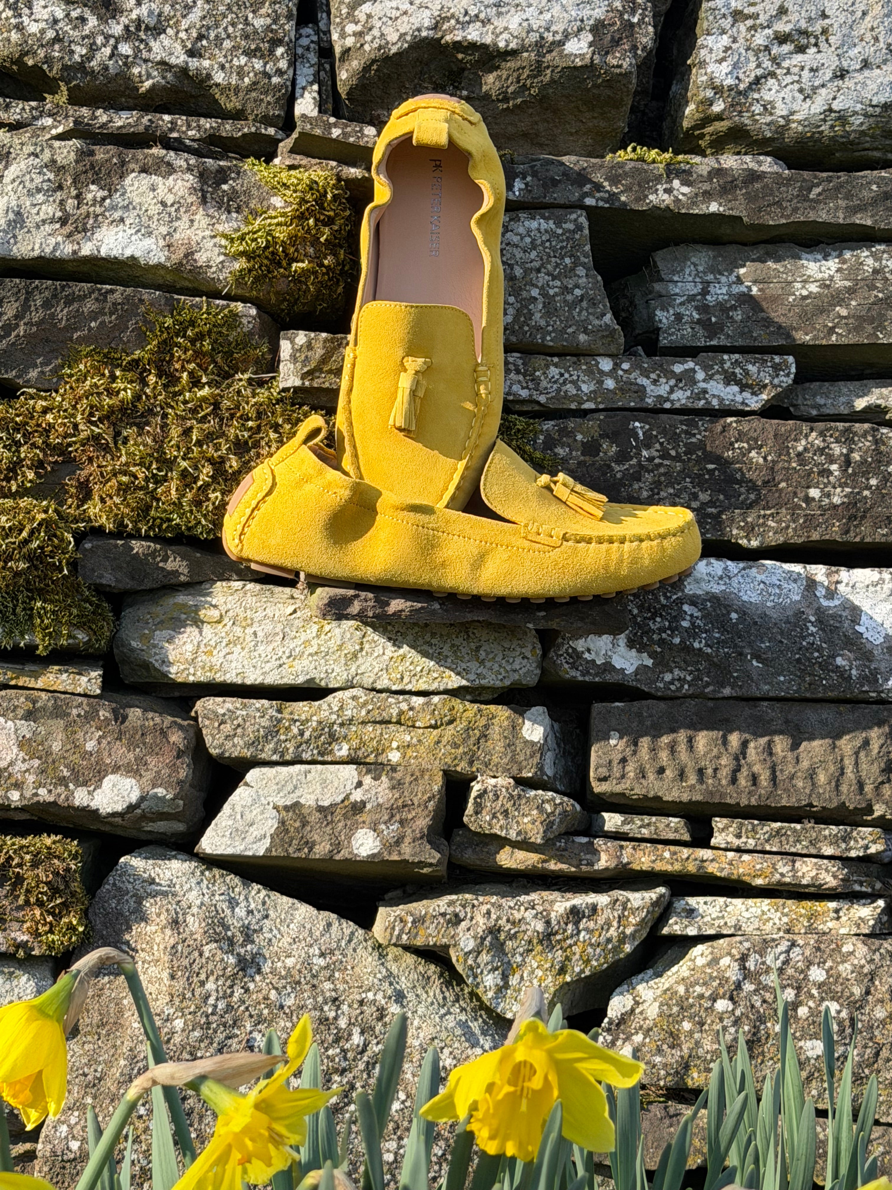 Luca Driving Loafer / Canary