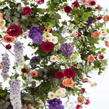 Lucy Vail Floral Design & Floral Feet